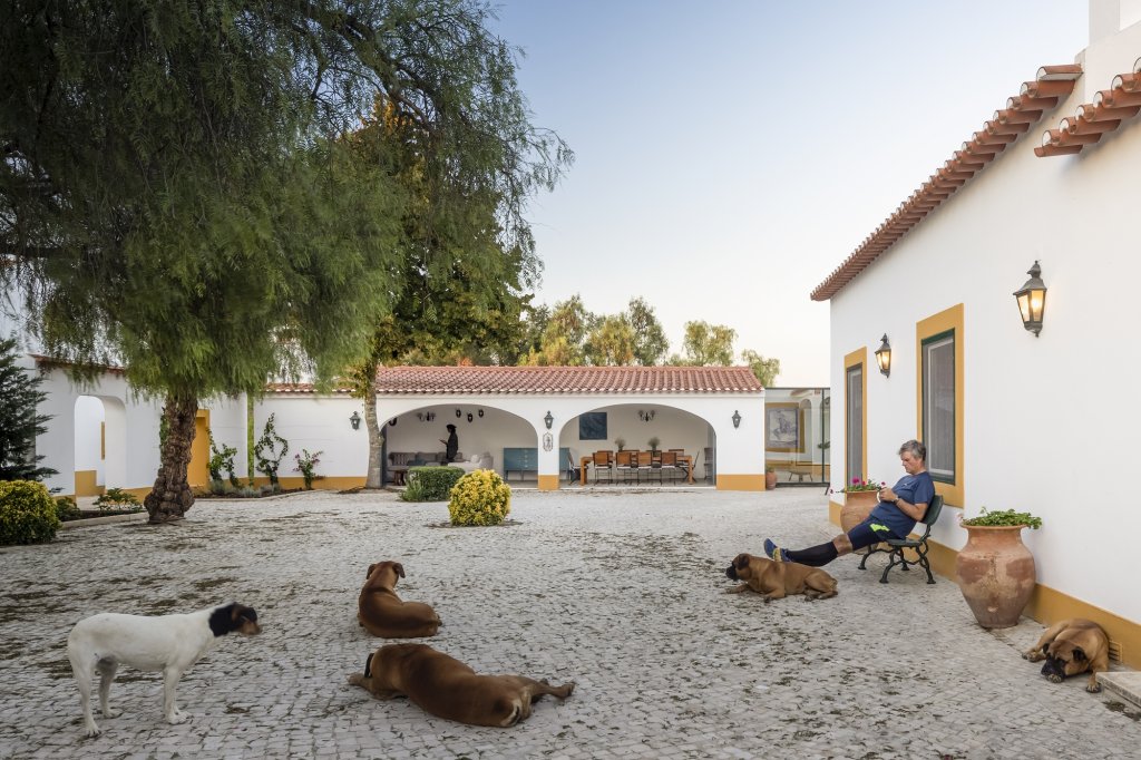 Casa Caramão BN / João Tiago Aguiar Arquitectos